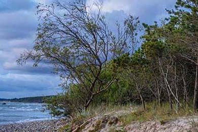 13条涨粉20万！AI西游记唱歌视频，新手也能抄作业