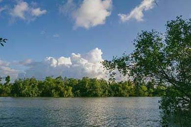 13条涨粉20万！AI西游记唱歌视频，新手也能抄作业